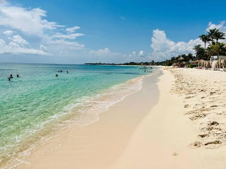 Jungle Joy Prv Jacuzzi Beach Access Rooftop Pools W Sea Views + Beach Club Akumal Apartment