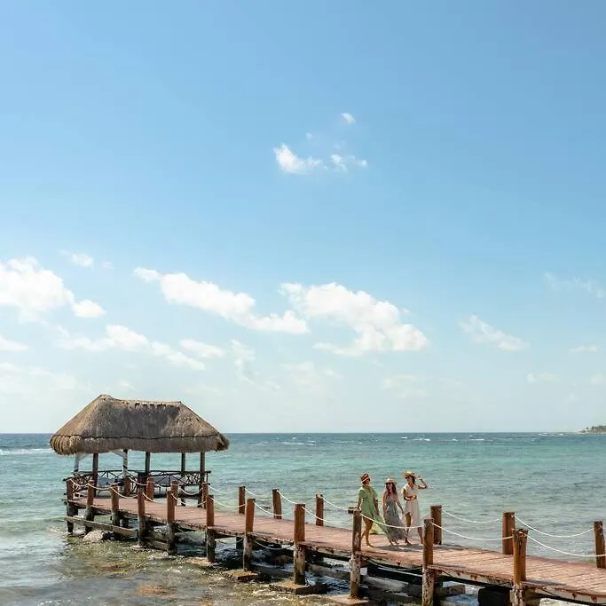 Jungle Joy Prv Jacuzzi Beach Access Rooftop Pools W Sea Views + Beach Club Akumal Apartment