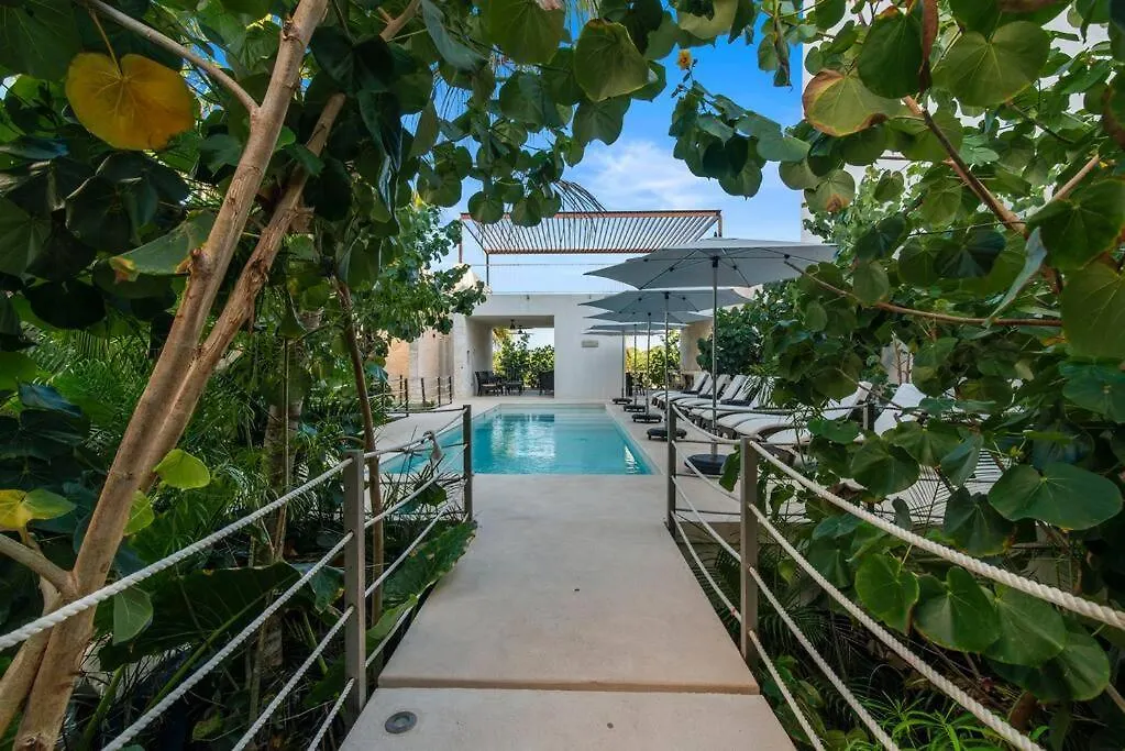 Jungle Joy Prv Jacuzzi Beach Access Rooftop Pools W Sea Views + Beach Club Akumal Mexico